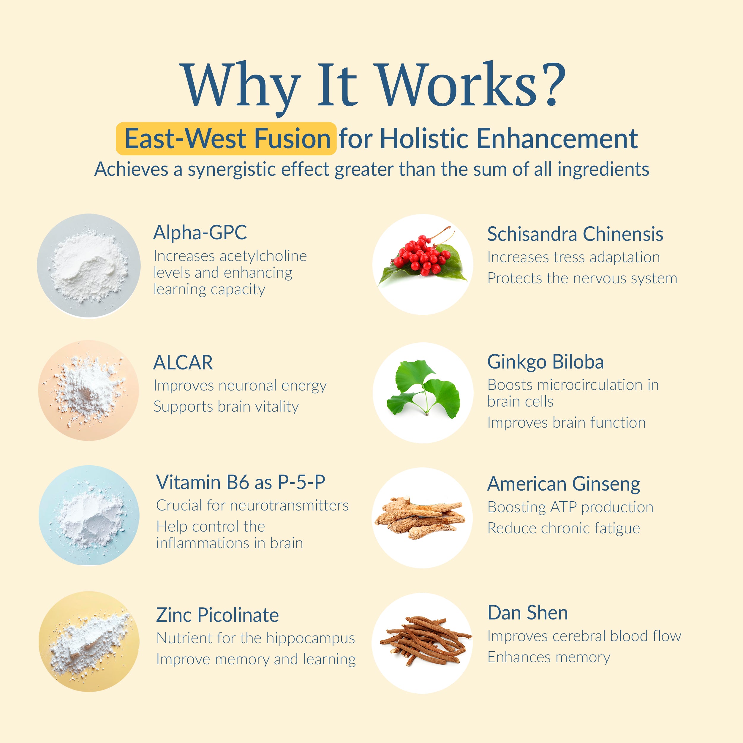 Infographic detailing the ingredients and benefits of OptiNourish Brain Optimal supplement with images and text.