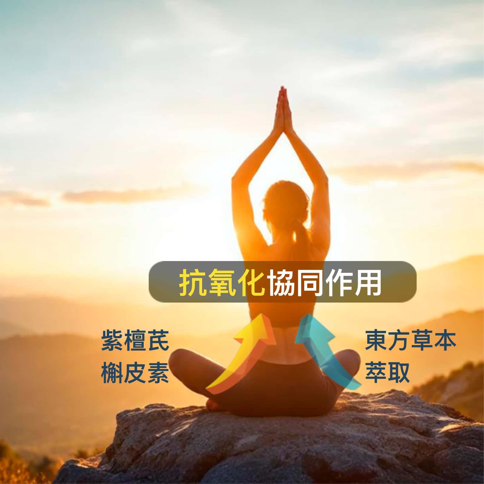 NAD+ Optimal 抗衰老保健品 - OptiNourish