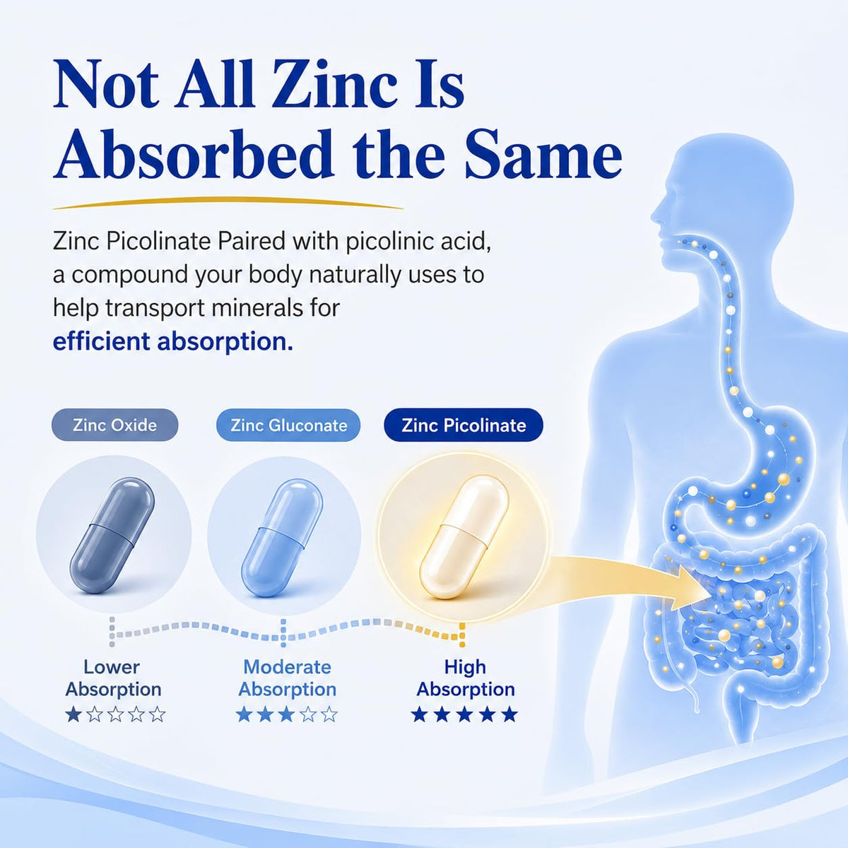 Zinc Picolinate 30mg