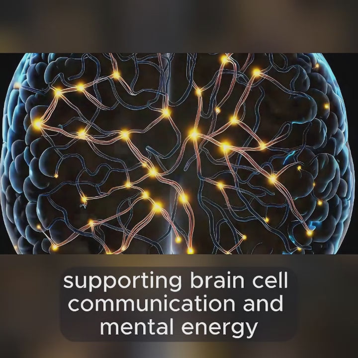 the trailer video showing how OptiNourish Brain Optimal support brain health and memory and focus