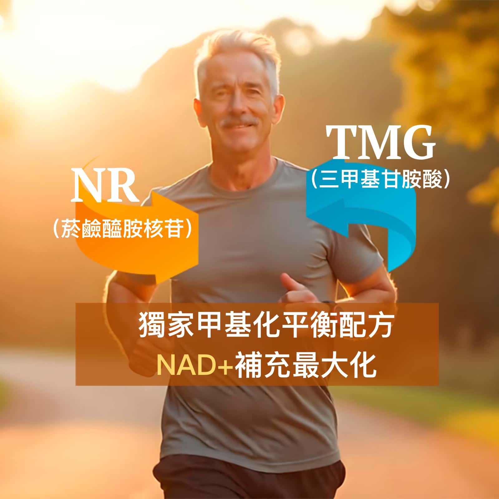 NAD+ Optimal 抗衰老保健品 - OptiNourish