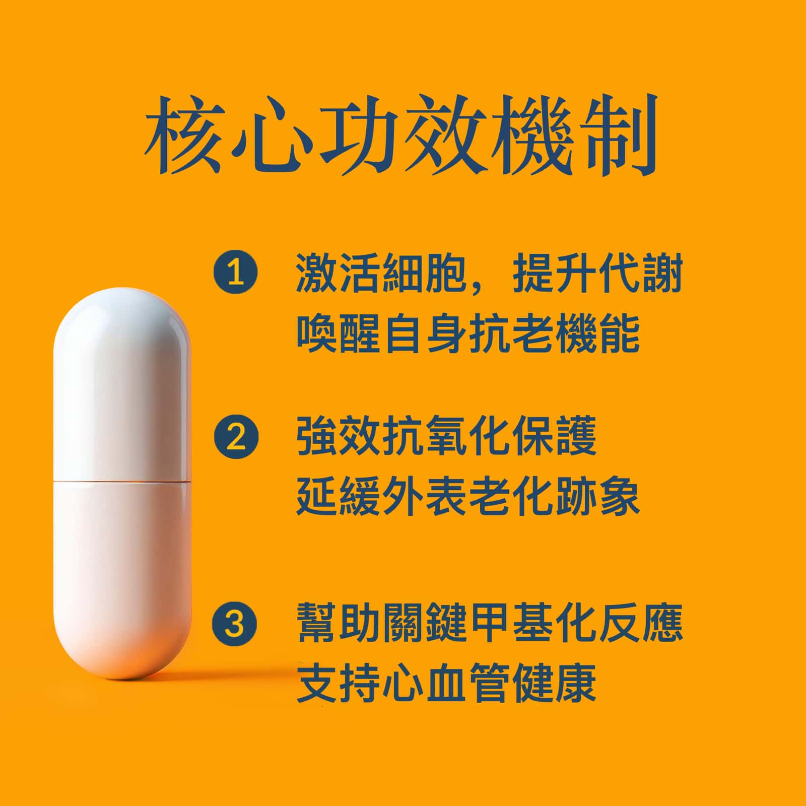 NAD+ Optimal 抗衰老保健品 - OptiNourish